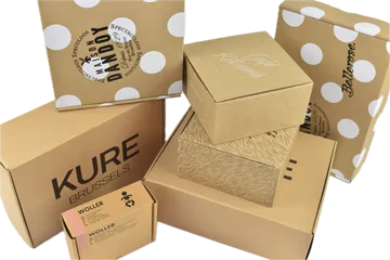 Expressz szállítás Dobozok az Zwijnaarde BE